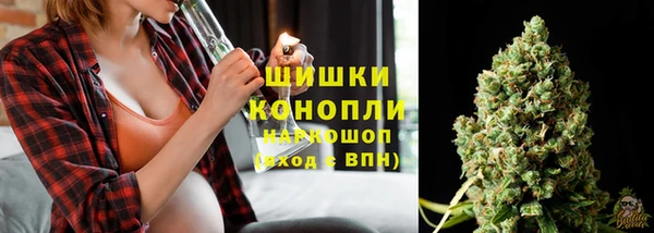 гидра Медвежьегорск